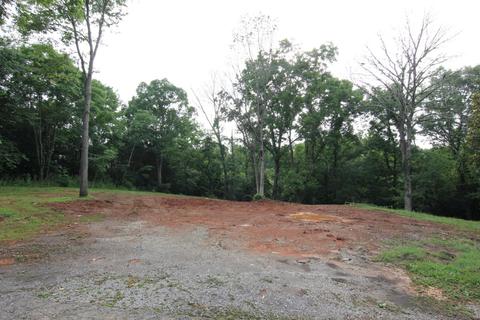2219 Holt Ln, Talbott, TN 37877 photo 5