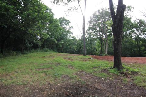 2219 Holt Ln, Talbott, TN 37877 photo 3