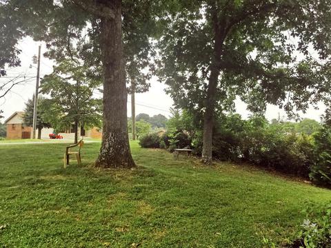 771 Barbara Dr, Talbott, TN 37877 photo 4