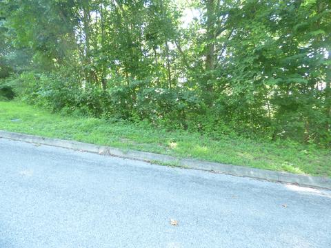 Lakeview Dr, Harriman, TN 37748