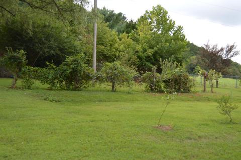 39 Weaver Bottom Rd, Celina, TN 38551 photo 25