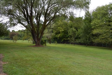 39 Weaver Bottom Rd, Celina, TN 38551 photo 27