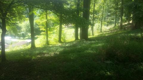 169 Martin Rd, Middlesboro, KY 40965 photo 5