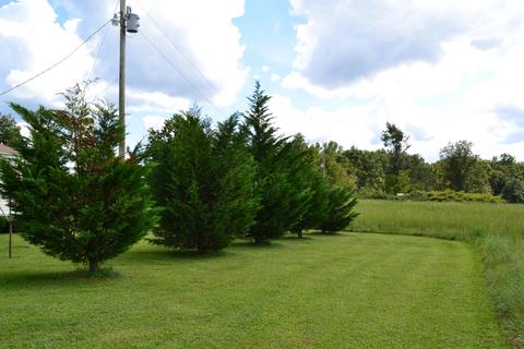 3554 Martha Washington Rd, Clarkrange, TN 38553 photo 23