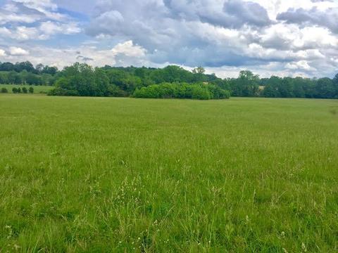 718 Blue Water Dr_lot 26, Cookeville, TN 38506