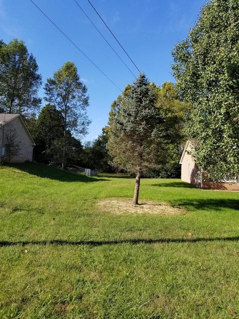 7621 Cotton Patch Rd, Corryton, TN 37721 photo 34
