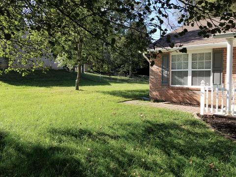 7621 Cotton Patch Rd, Corryton, TN 37721 photo 5