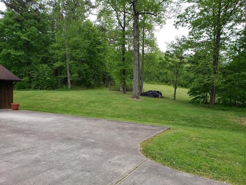130 Crows Way, Gray, KY 40734 photo 8