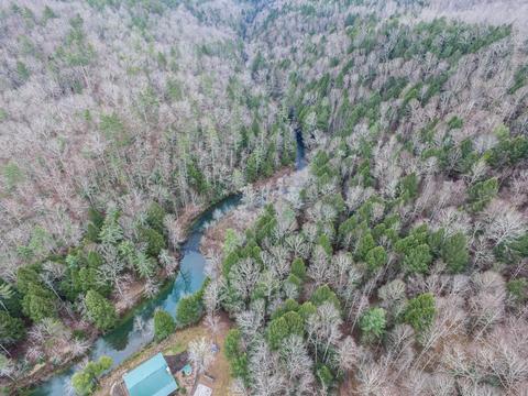 321 High Point Rd, Deer Lodge, TN 37726 photo 27