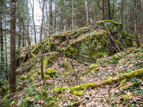 321 High Point Rd, Deer Lodge, TN 37726 photo 37