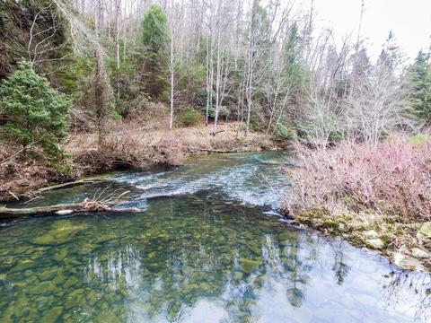 321 High Point Rd, Deer Lodge, TN 37726 photo 30