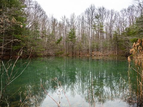 321 High Point Rd, Deer Lodge, TN 37726 photo 31
