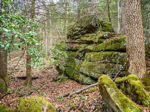 321 High Point Rd, Deer Lodge, TN 37726 photo 33