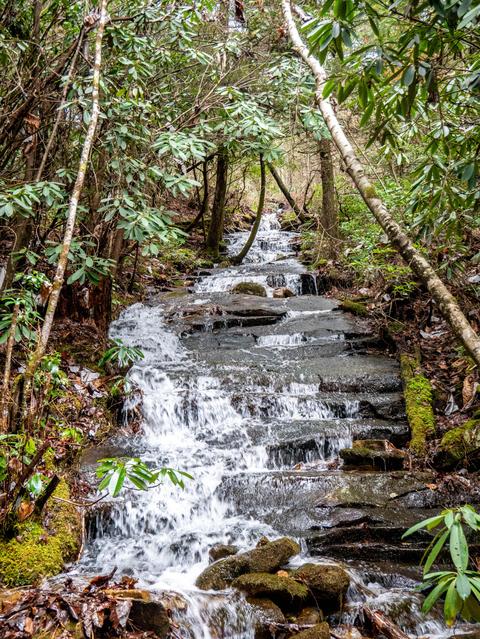 321 High Point Rd, Deer Lodge, TN 37726 photo 38