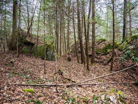 321 High Point Rd, Deer Lodge, TN 37726 photo 36