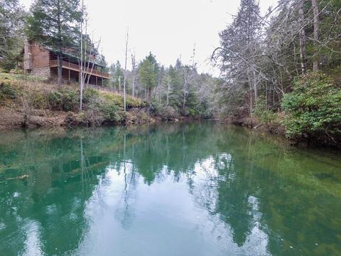 321 High Point Rd, Deer Lodge, TN 37726 photo 28