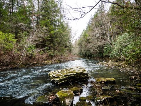 321 High Point Rd, Deer Lodge, TN 37726 photo 32