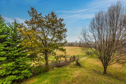 7516 Maple Leaf Dr, Corryton, TN 37721 photo 30