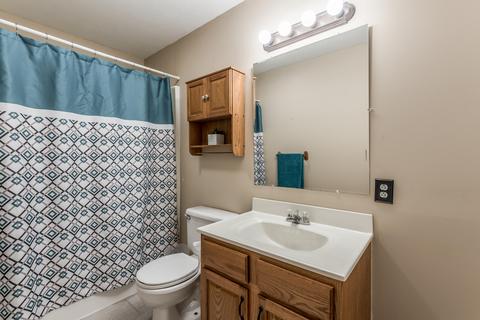 7516 Maple Leaf Dr, Corryton, TN 37721 photo 20