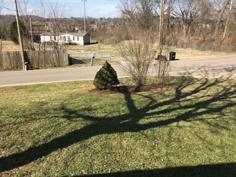 350 Riverview Dr, Clinton, TN 37716 photo 9