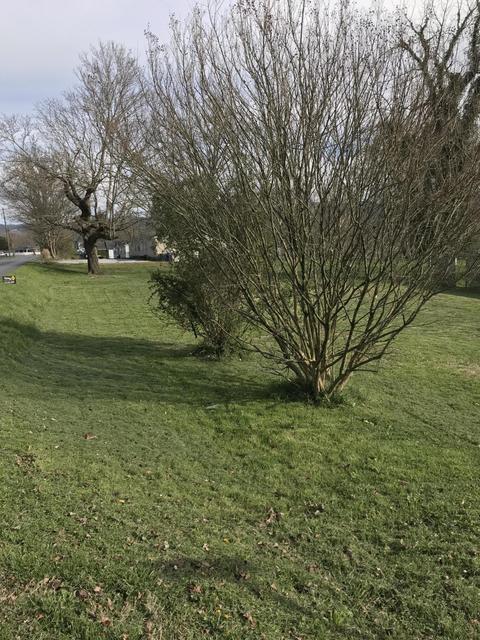 186 Lower Gibson Ln, Middlesboro, KY 40965 photo 8
