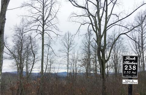lot238 Tanzanite, New Tazewell, TN 37825