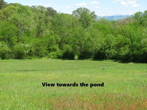 400 Pine St, Greenback, TN 37742 photo 9