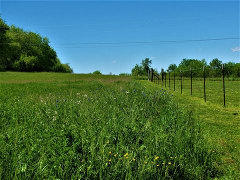 400 Pine St, Greenback, TN 37742 photo 8