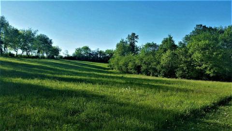 400 Pine St, Greenback, TN 37742 photo 4