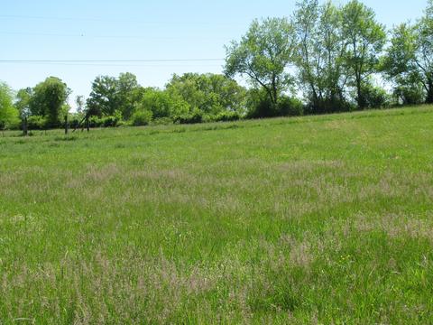 400 Pine St, Greenback, TN 37742 photo 18