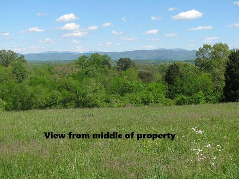 400 Pine St, Greenback, TN 37742 photo 15
