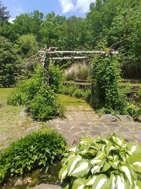 2318 Litton Rd, Oneida, TN 37841 photo 21