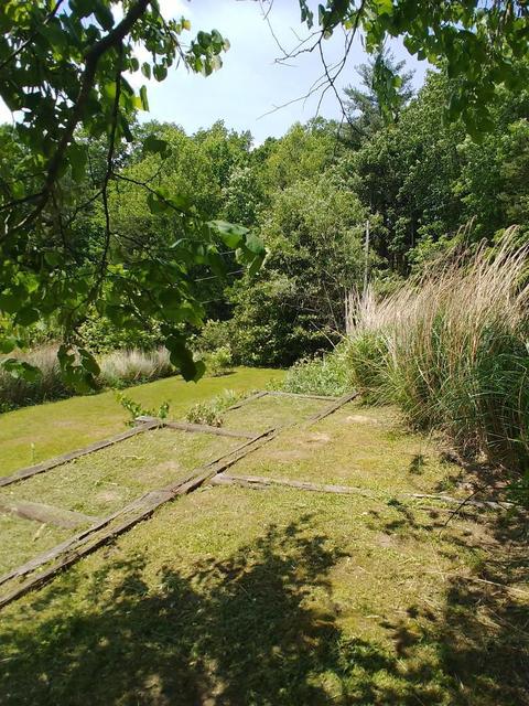2318 Litton Rd, Oneida, TN 37841 photo 14