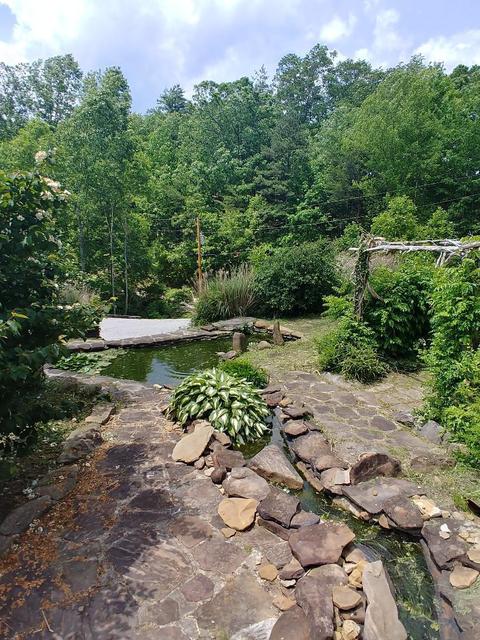 2318 Litton Rd, Oneida, TN 37841 photo 13