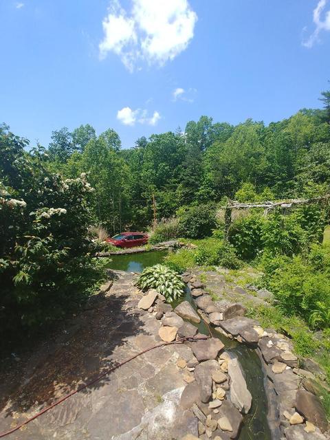 2318 Litton Rd, Oneida, TN 37841 photo 15