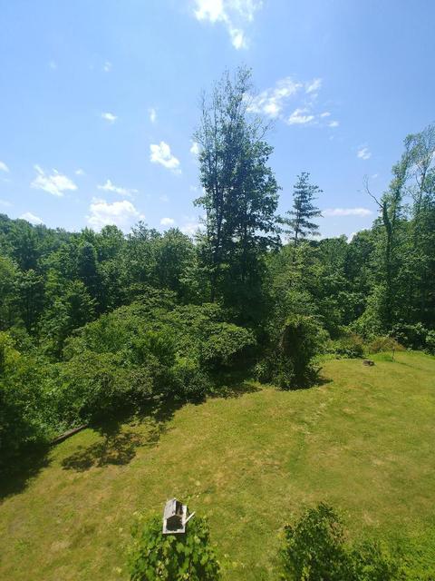 2318 Litton Rd, Oneida, TN 37841 photo 18
