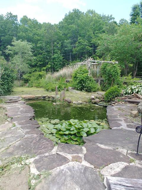 2318 Litton Rd, Oneida, TN 37841 photo 12