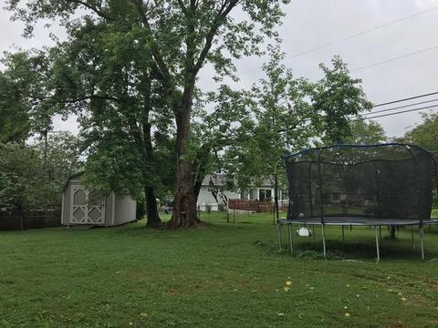 7813 Whitcomb Rd, Powell, TN 37849 photo 22