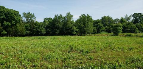 2453 Willow Garden Cir, Talbott, TN 37877 photo 9