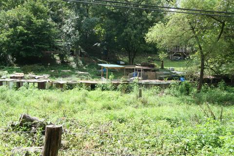 205 Wolfe Rd, Luttrell, TN 37779 photo 8