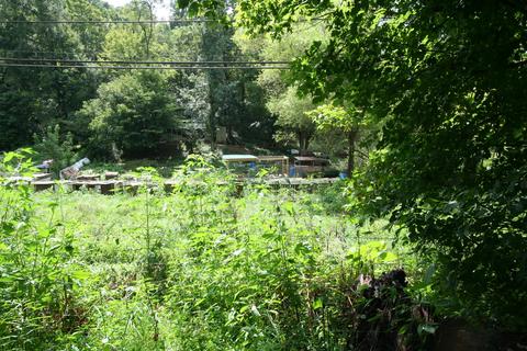 205 Wolfe Rd, Luttrell, TN 37779 photo 6