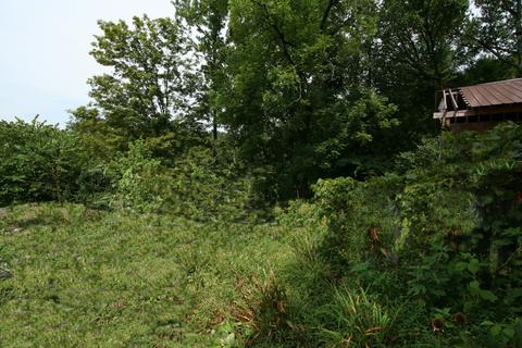 205 Wolfe Rd, Luttrell, TN 37779 photo 1