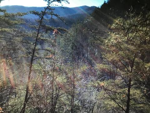 424 Mountain John Loop, Townsend, TN 37882 photo 7