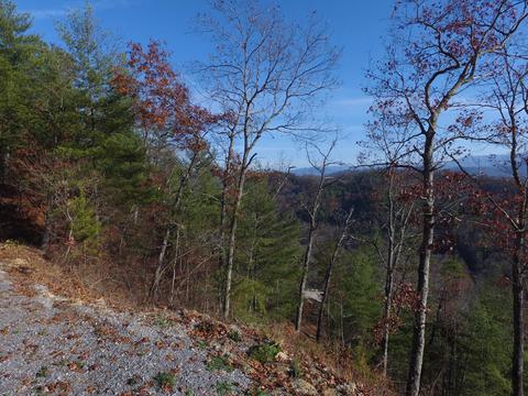 424 Mountain John Loop, Townsend, TN 37882 photo 32