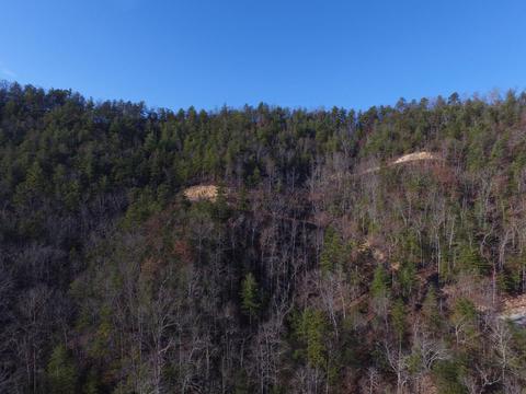 424 Mountain John Loop, Townsend, TN 37882 photo 19