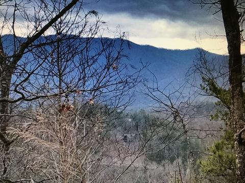 424 Mountain John Loop, Townsend, TN 37882 photo 9