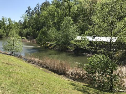 424 Mountain John Loop, Townsend, TN 37882 photo 12