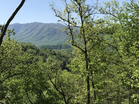 424 Mountain John Loop, Townsend, TN 37882 photo 5