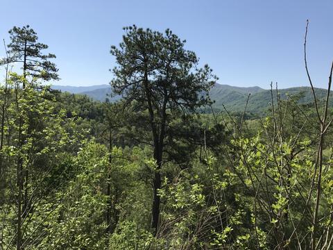 424 Mountain John Loop, Townsend, TN 37882 photo 2