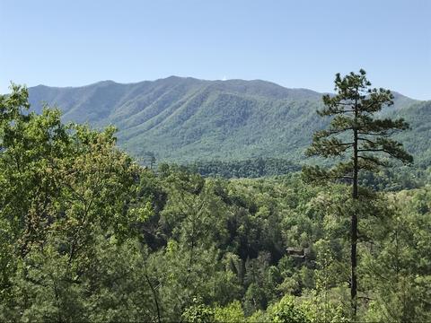 424 Mountain John Loop, Townsend, TN 37882 photo 1